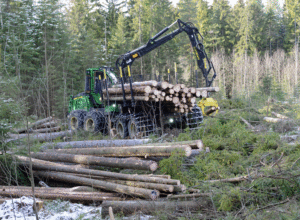 Krisepakken viktig for skogsentreprenørene